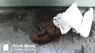 Japanese Emergency Piss and Shit