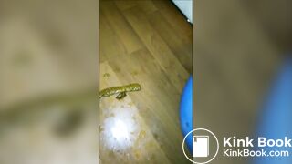 Nasty Nigerian Shits Poop & Ass Juice