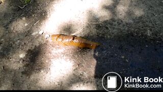 Milf pissing and shitting in public