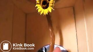 Toilet slave preview