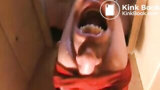 Toilet slave preview