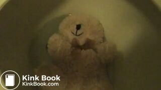 Teddybear inside toilet