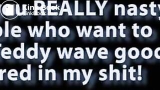 Teddybear inside toilet