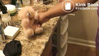 Teddybear inside toilet