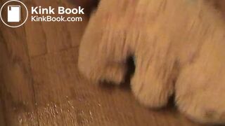 Teddybear inside toilet