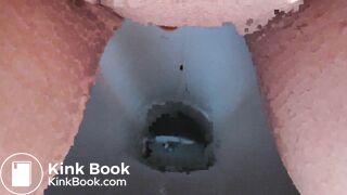 Hot chick pooping - video 2