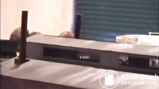 Girl shitting on a model train