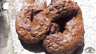 Japanese girl shitting with her friend