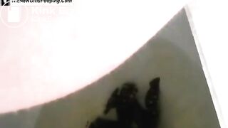 Public toilet - video 10