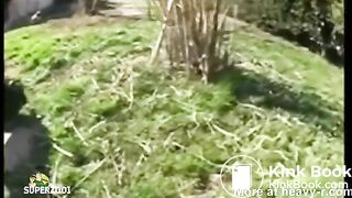 shitty Piggy Backyard Humiliation