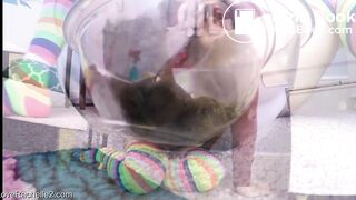 Sexy page let's go in bowl