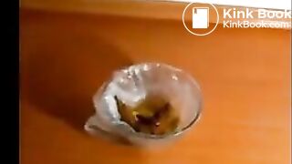 Pooping on a plate - video 3
