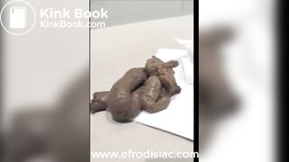 Pooping compilation - video 10