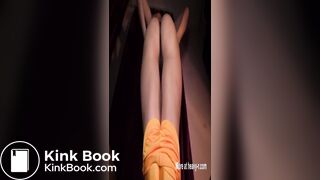 Closeup of a big shit