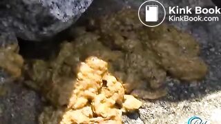 japanese girls shitting 3