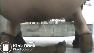 japanese best pooping