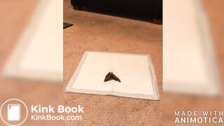 Starburst shits 3 times one shows her facial expressions