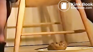 Pooping compilation - video 3