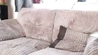 Dildo & fingering,, Summer_Fox, Lana huckaby, Babetation, MILF , Webcam