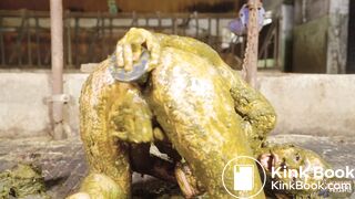 Kyra Sex Enjoying Fresh Manure