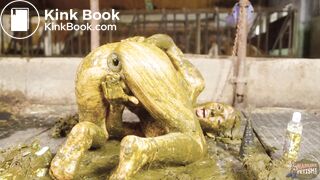 Kyra Sex Enjoying Fresh Manure