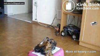 Diarrhea in her shoes