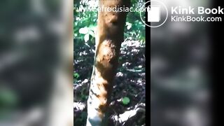 Rock Teen Woods Poop