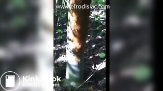 Rock Teen Woods Poop