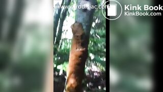 Rock Teen Woods Poop