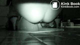 korean hidden toilet