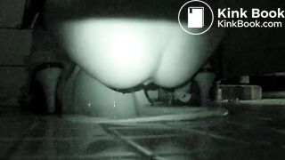 korean hidden toilet