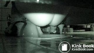 korean hidden toilet