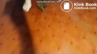 scat while squirting latina - video 8