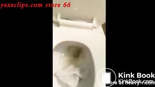 Scat 3 different times