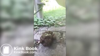 hard log, tender asshole