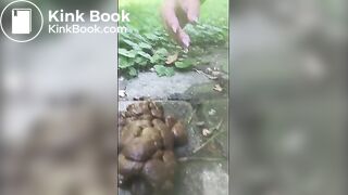 hard log, tender asshole