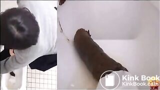 Japanese poop toilet 2