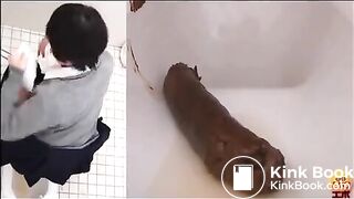 Japanese poop toilet 2