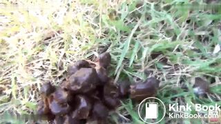 Beautiful japanese girls shitting