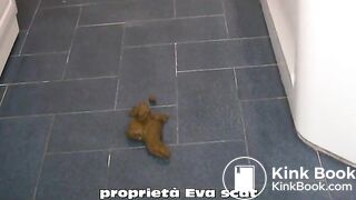 My favorite combo: scat and hairy pussy 2