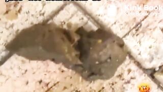 Girls locked toilet public poop accident