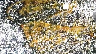 panty poop in the city