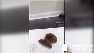 More scat part 2