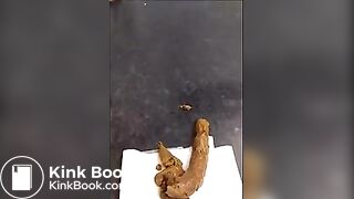 More scat part 2