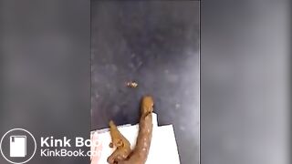 More scat part 2
