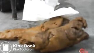 Jap girl shits on the roof