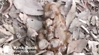 Japanese girls pooping in the public park
