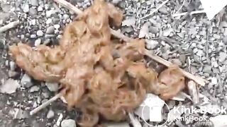 Japanese girls pooping in the public park