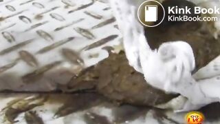 Public toilet it was not in time