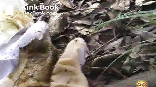 Public-Accidents_1_clip0